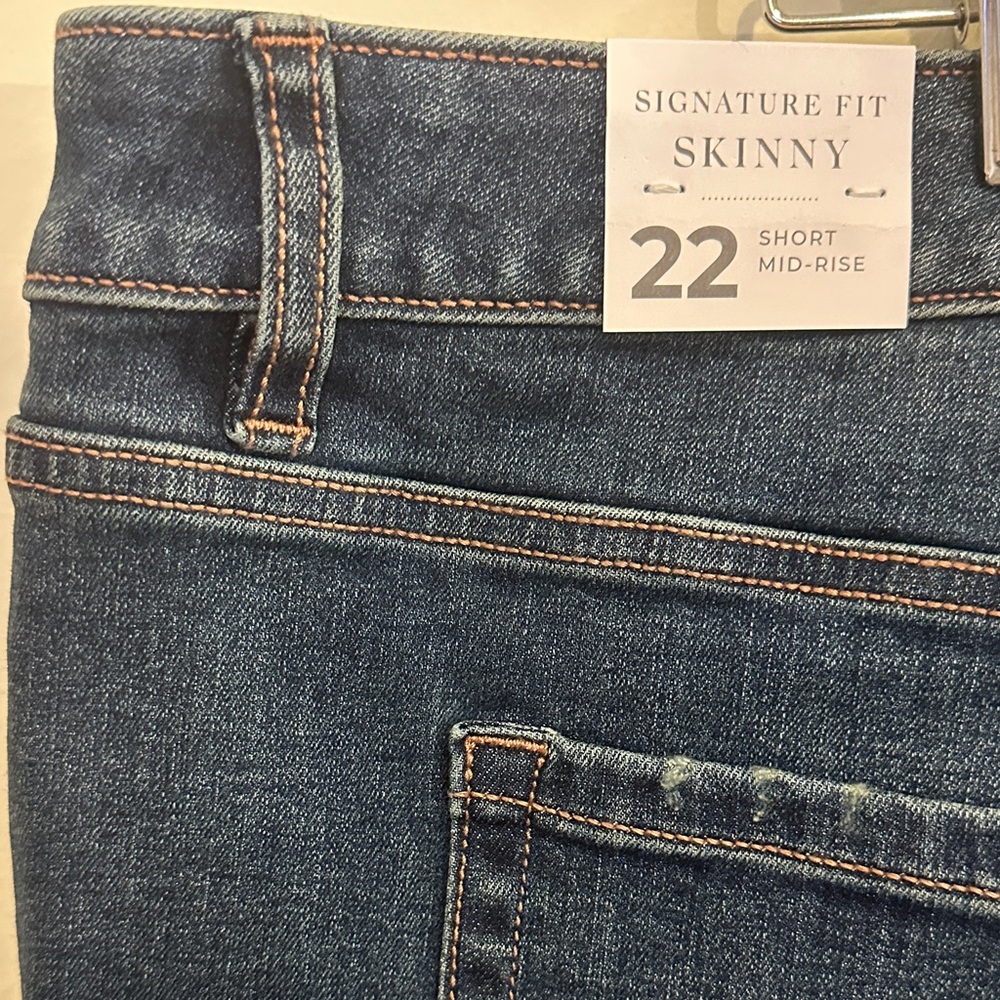 Lane Bryant Signature Fit Skinny Jeans